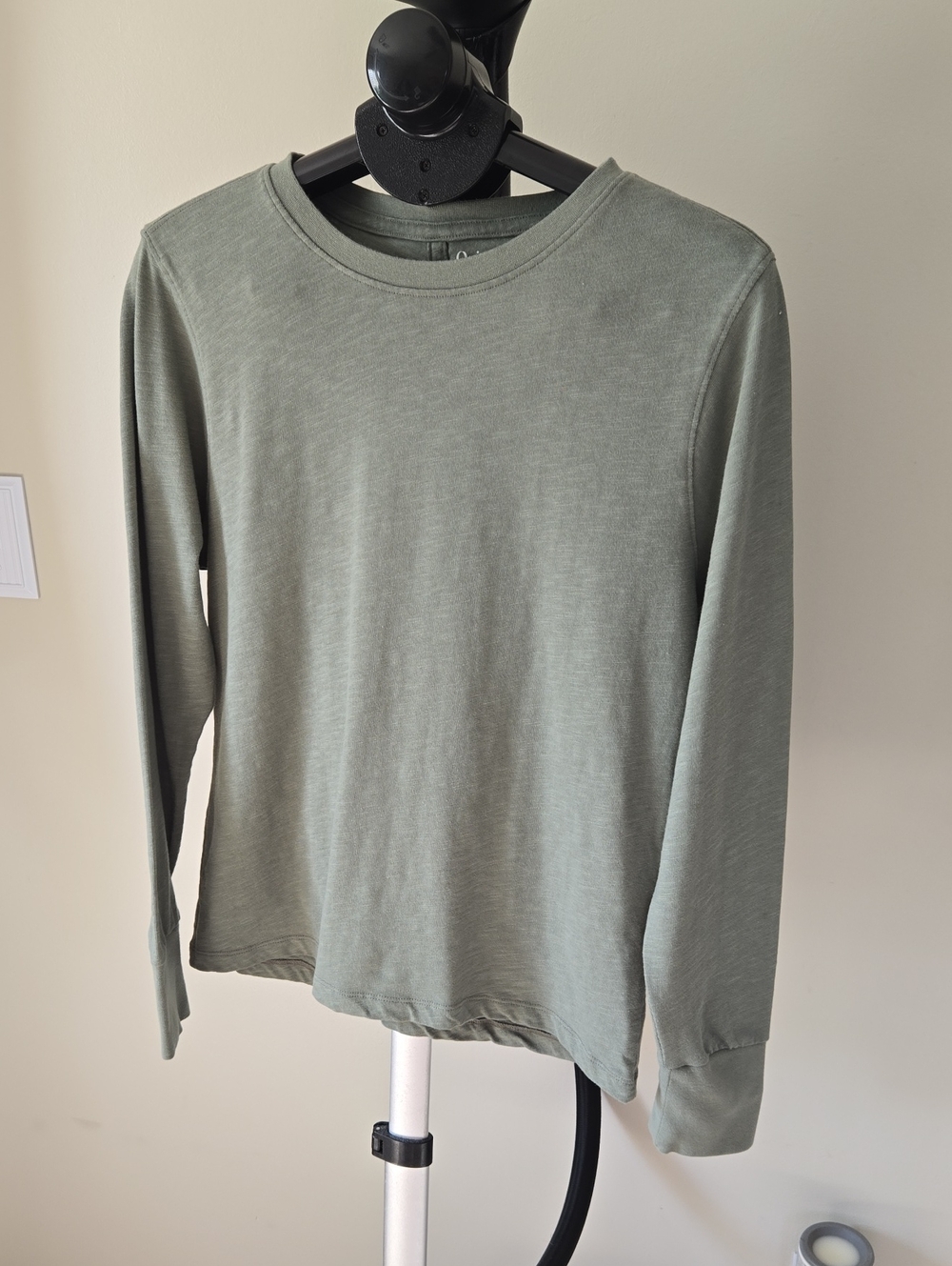 Quince Long Sleeve Tee in Sage Green